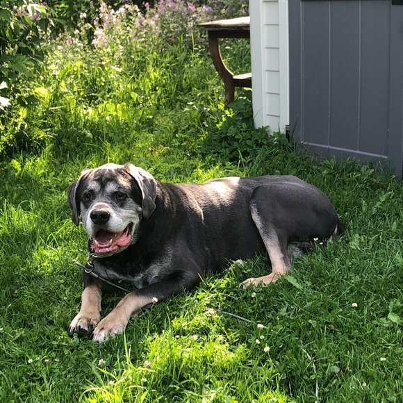 Meet your Posher, Tammy - Picture 16 of 16